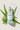 Hydrating Facial Cleanser with Aloe Vera, Green Tea and water splash