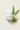 Daily Moisturizing Cream with Hyaluronic Acid, Shea Butter and Aloe Vera