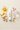Repair Lip Balm – Ingredient Composition