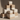 Luxury Packaging Composition